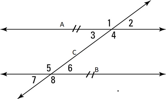 A Transversal Line the demonstrates the different kinds of lines and angles that can be represented.