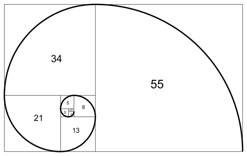 As the Fibonacci Sequence moves outward, the spiral gradually increases in size.