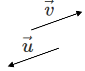Opposite vectors u and v.